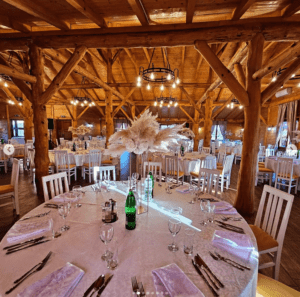  vojvođanski dedin salaš 